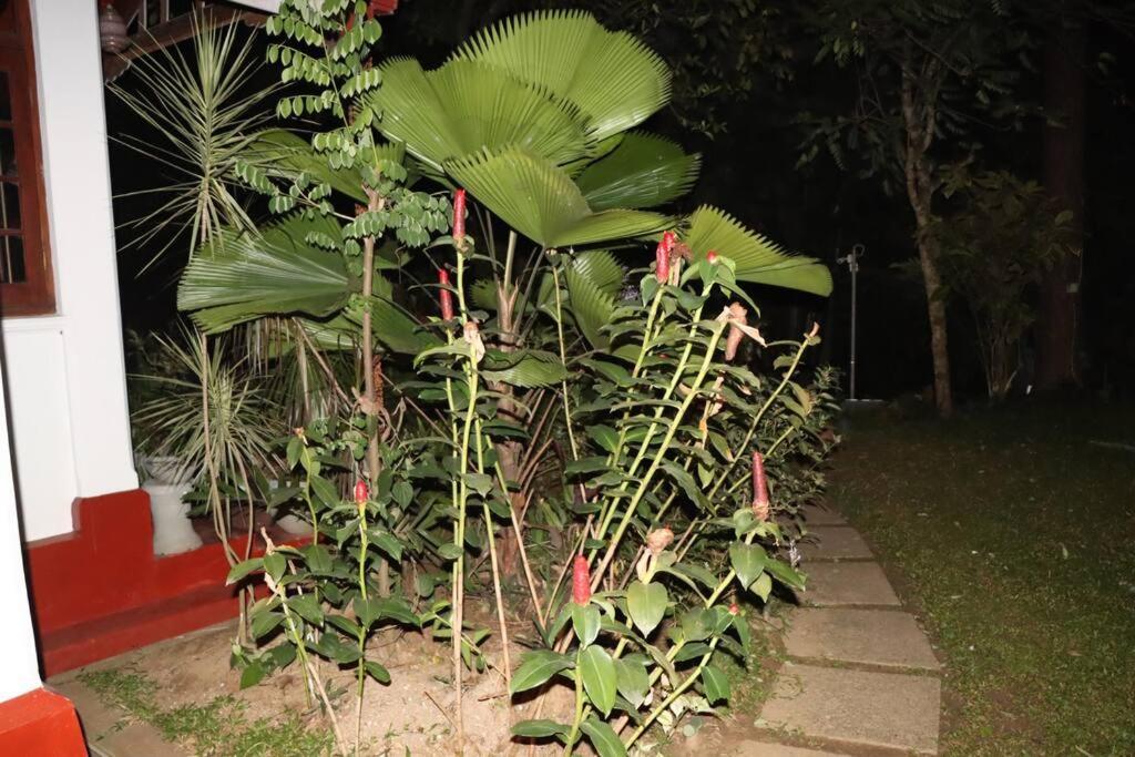 Colonial Residence Kandy Villa المظهر الخارجي الصورة